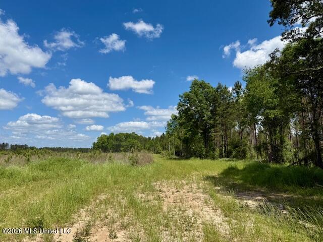 Magnolia Holmesville Road Property Photo 54