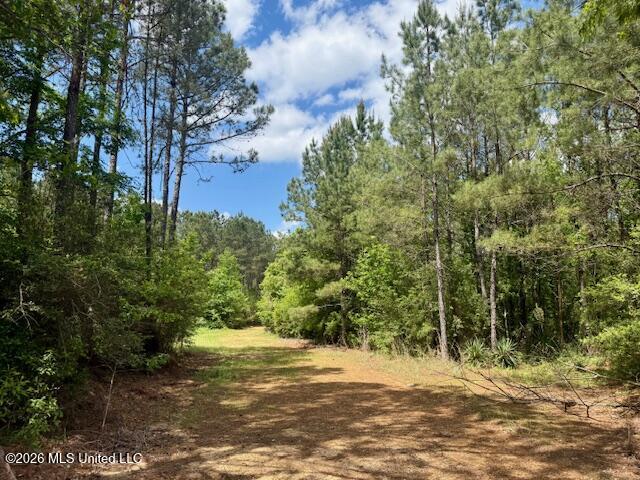 Magnolia Holmesville Road Property Photo 56