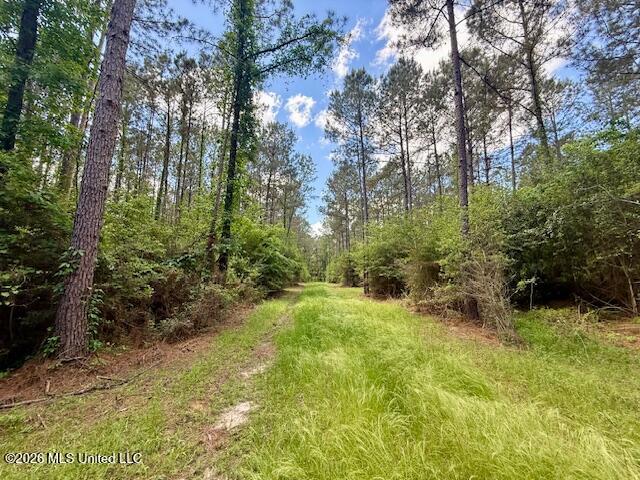 Magnolia Holmesville Road Property Photo 61