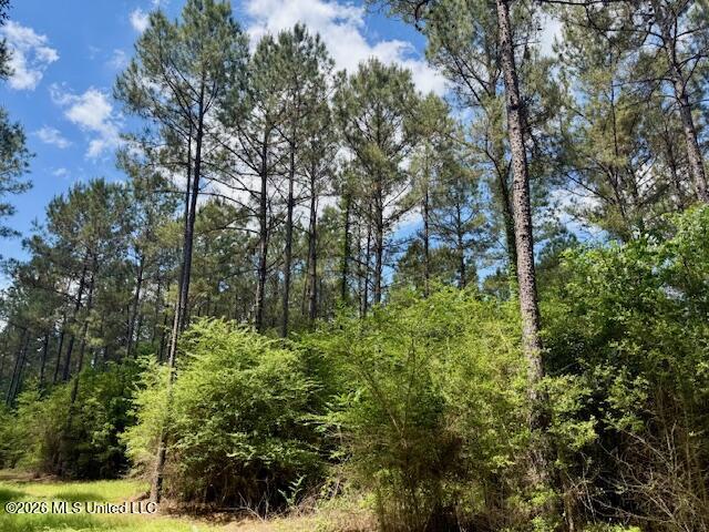 Magnolia Holmesville Road Property Photo 62