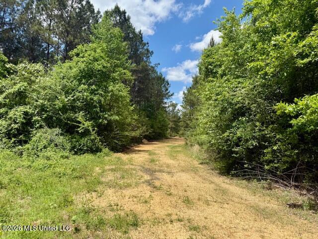 Magnolia Holmesville Road Property Photo 63