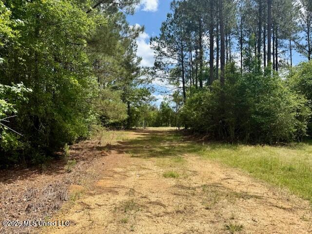 Magnolia Holmesville Road Property Photo 64