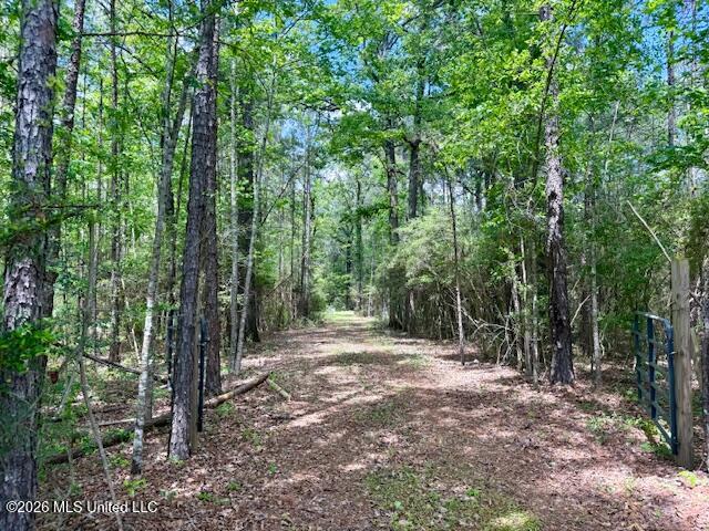 Magnolia Holmesville Road Property Photo 65