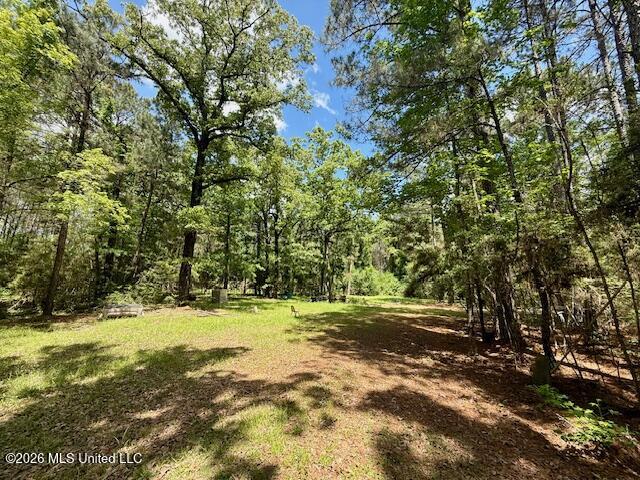 Magnolia Holmesville Road Property Photo 66