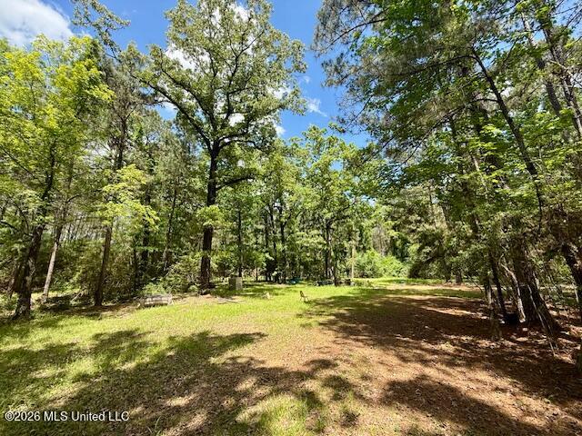 Magnolia Holmesville Road Property Photo 68