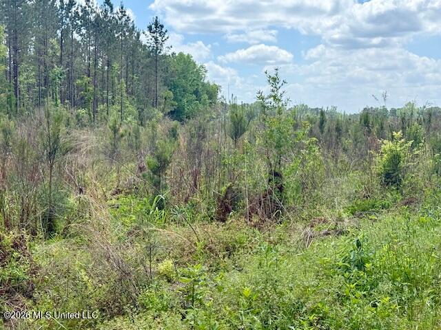Magnolia Holmesville Road Property Photo 70