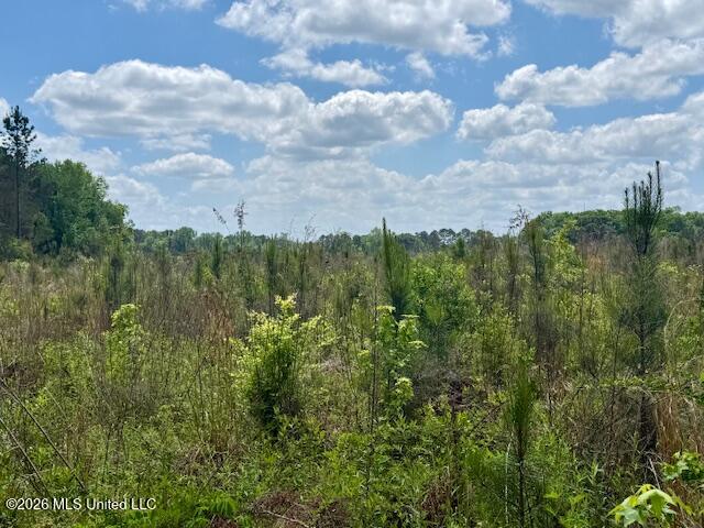 Magnolia Holmesville Road Property Photo 71