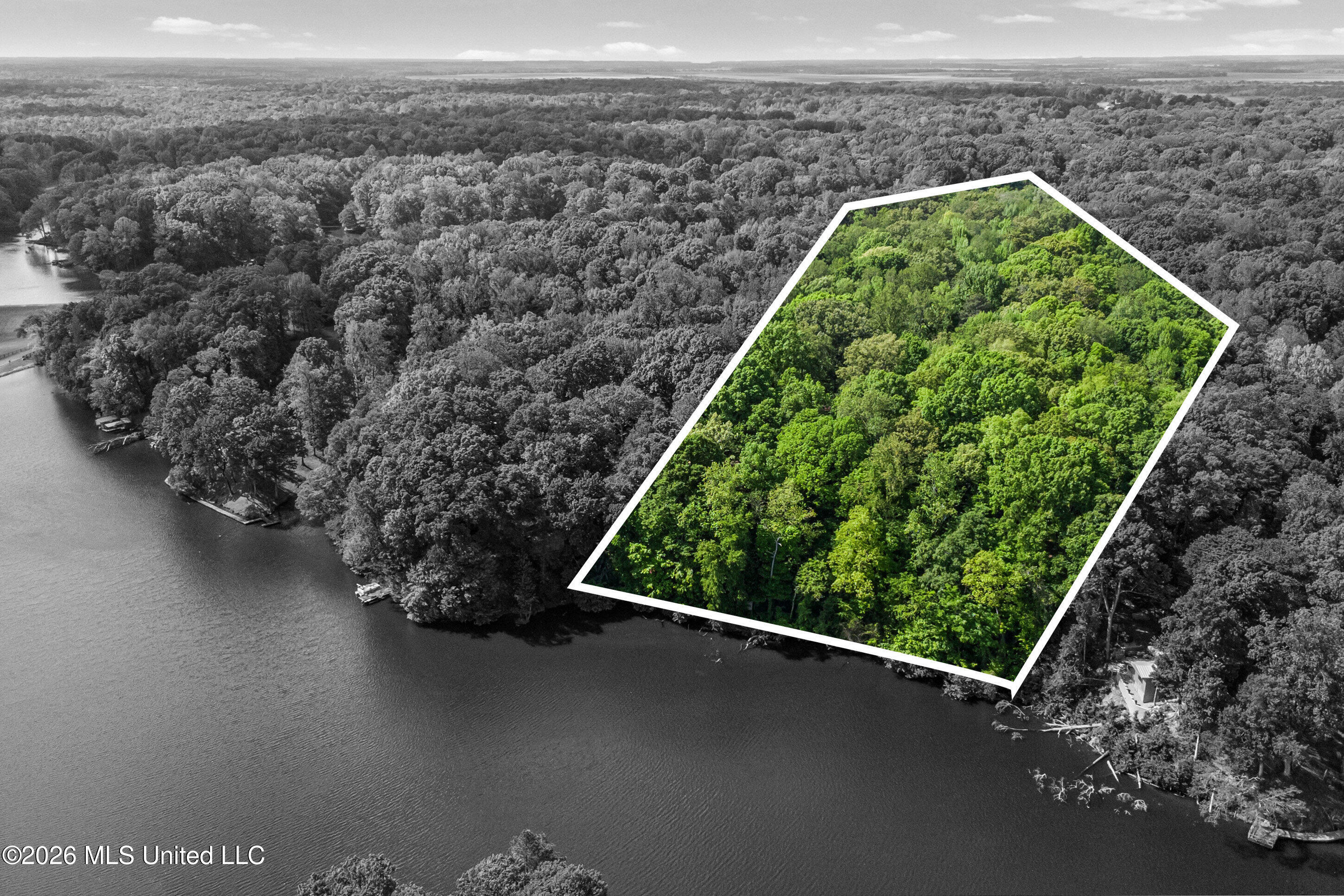 Lot 119 Dogwood Cove Property Photo 1