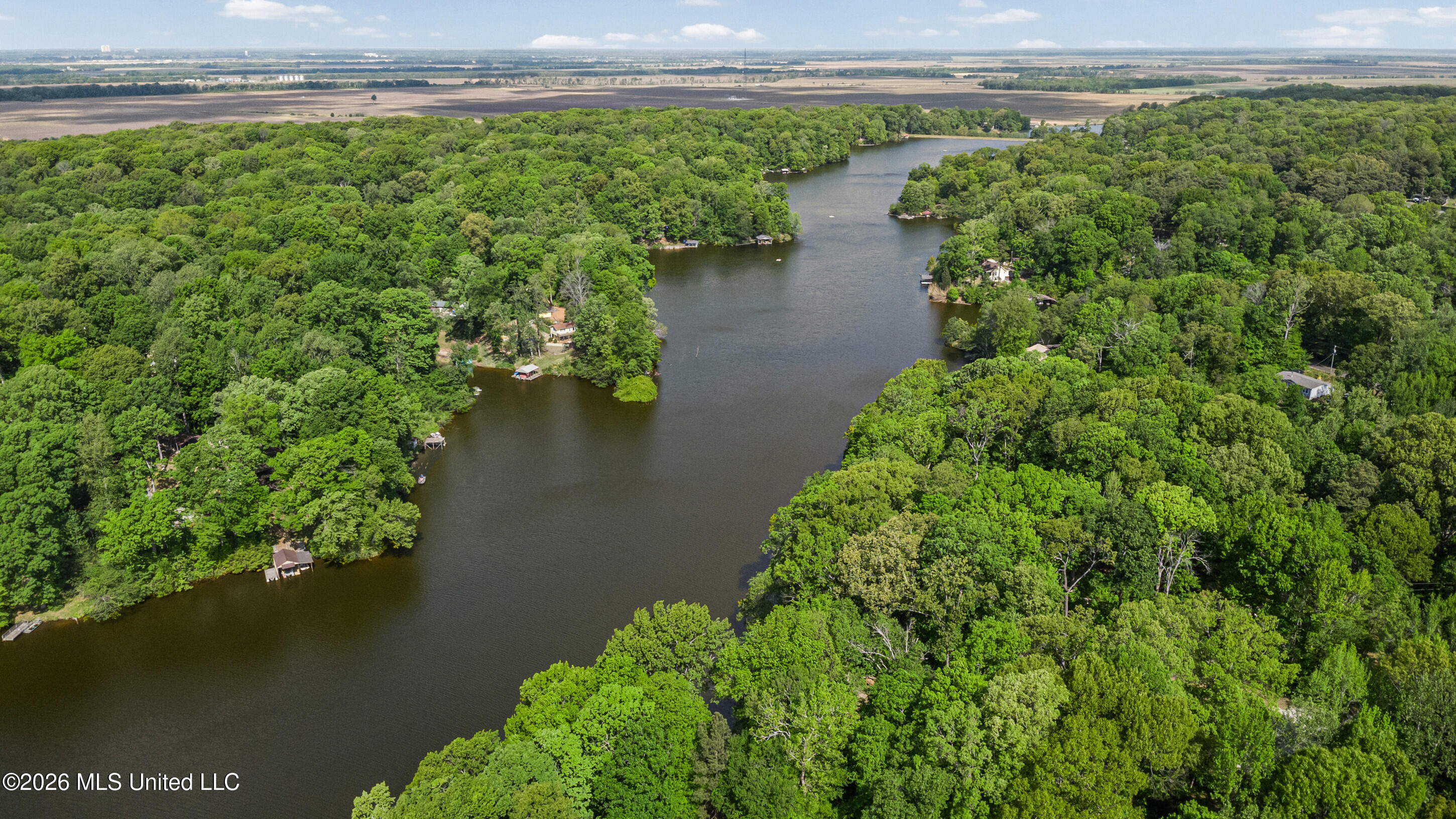 Lot 119 Dogwood Cove Property Photo 5