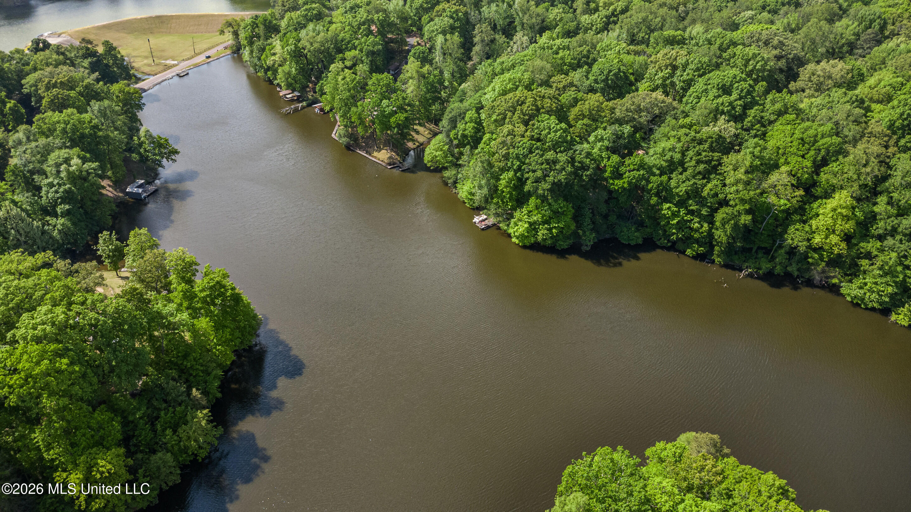 Lot 119 Dogwood Cove Property Photo 6