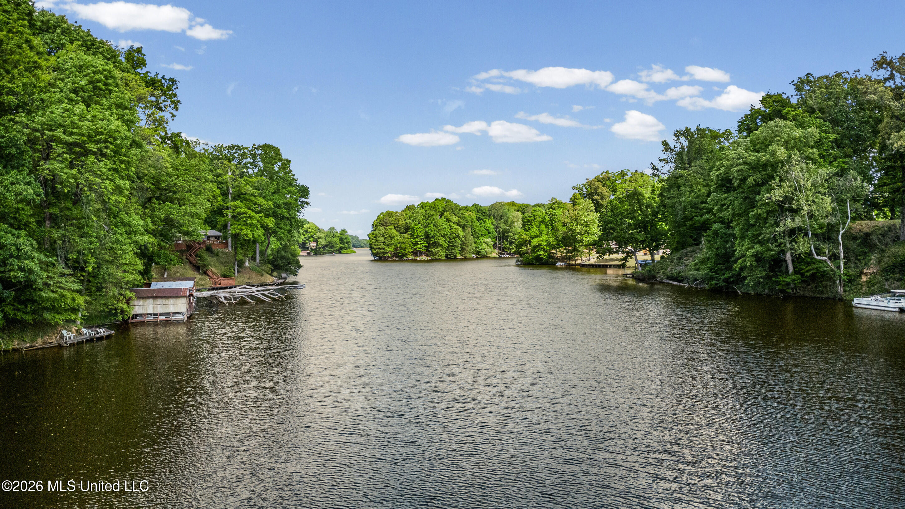 Lot 119 Dogwood Cove Property Photo 7