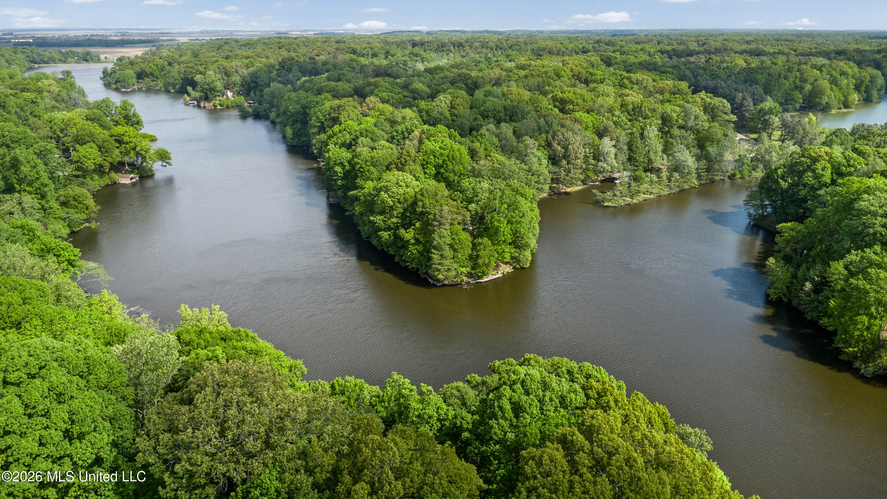 Lot 119 Dogwood Cove Property Photo 9