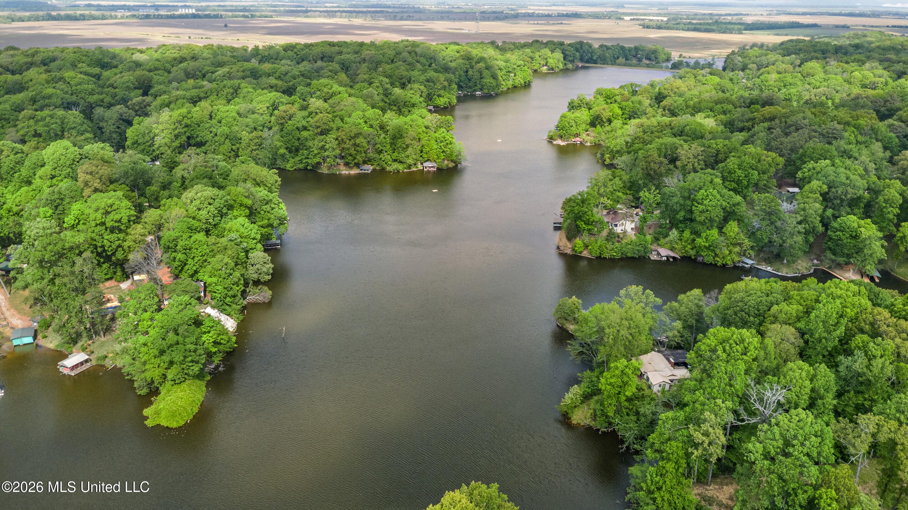 Lot 119 Dogwood Cove Property Photo 13