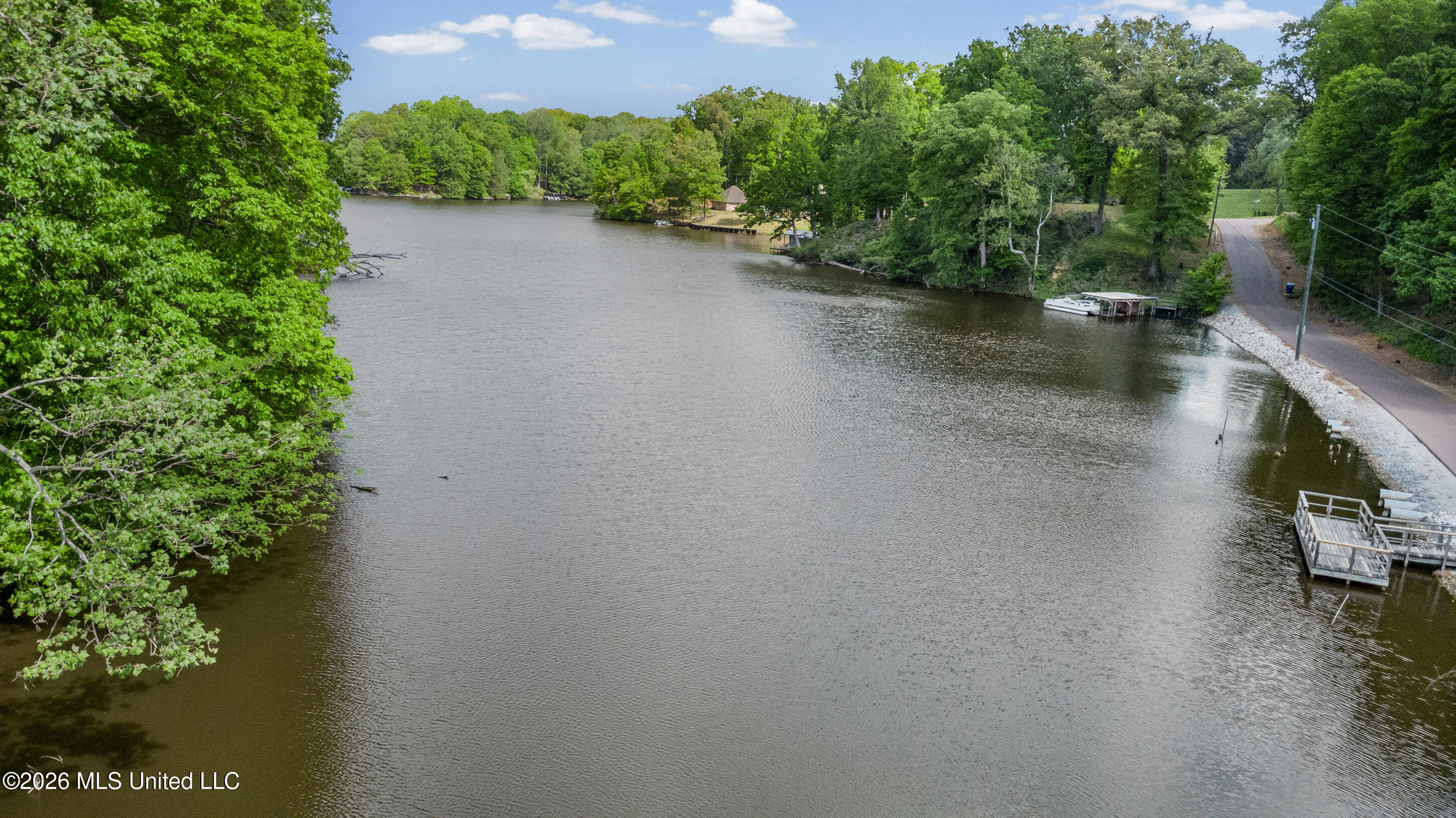 Lot 119 Dogwood Cove Property Photo 17