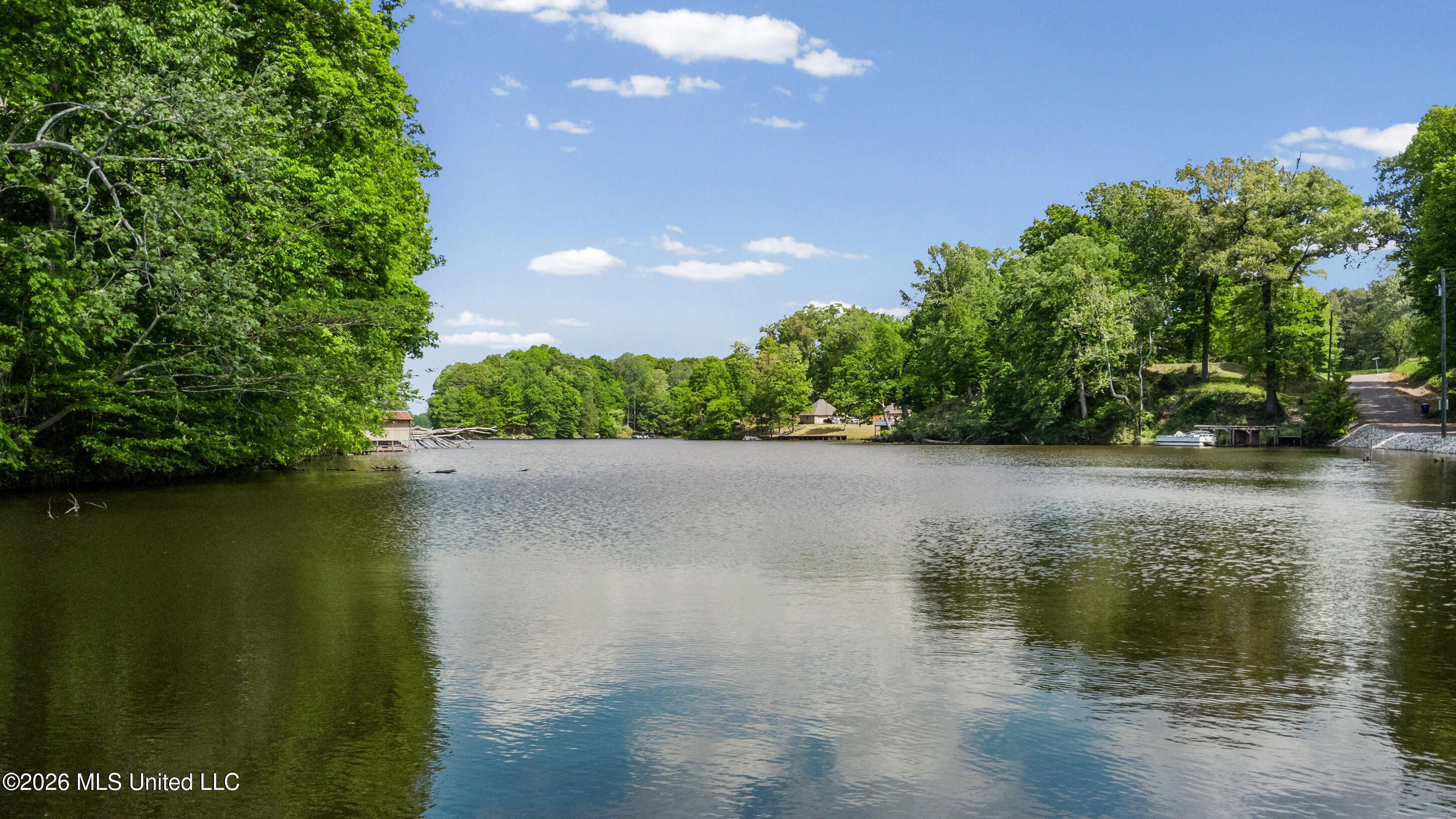 Lot 119 Dogwood Cove Property Photo 18