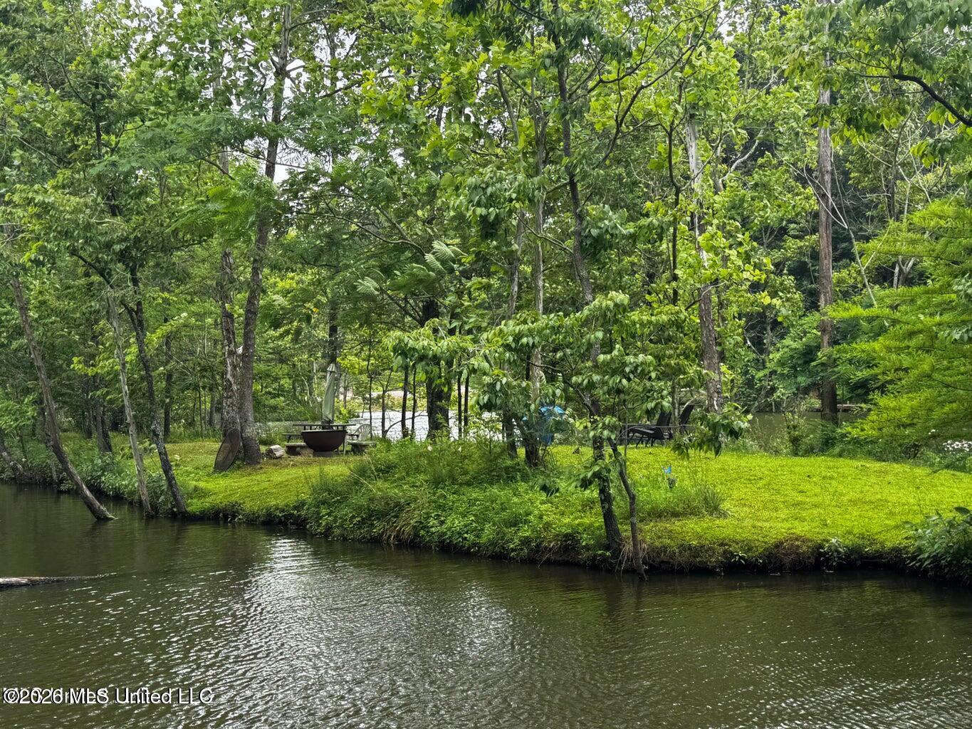 Lot 119 Dogwood Cove Property Photo 19