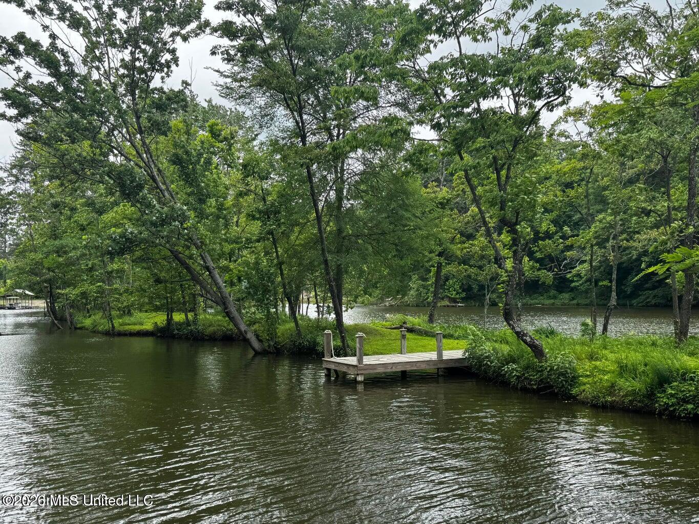 Lot 119 Dogwood Cove Property Photo 20