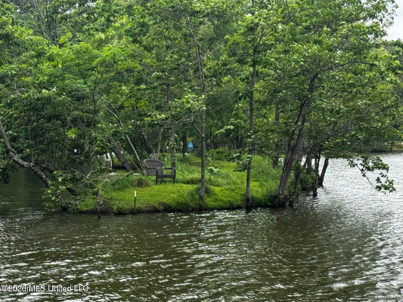 Lot 119 Dogwood Cove Property Photo 21