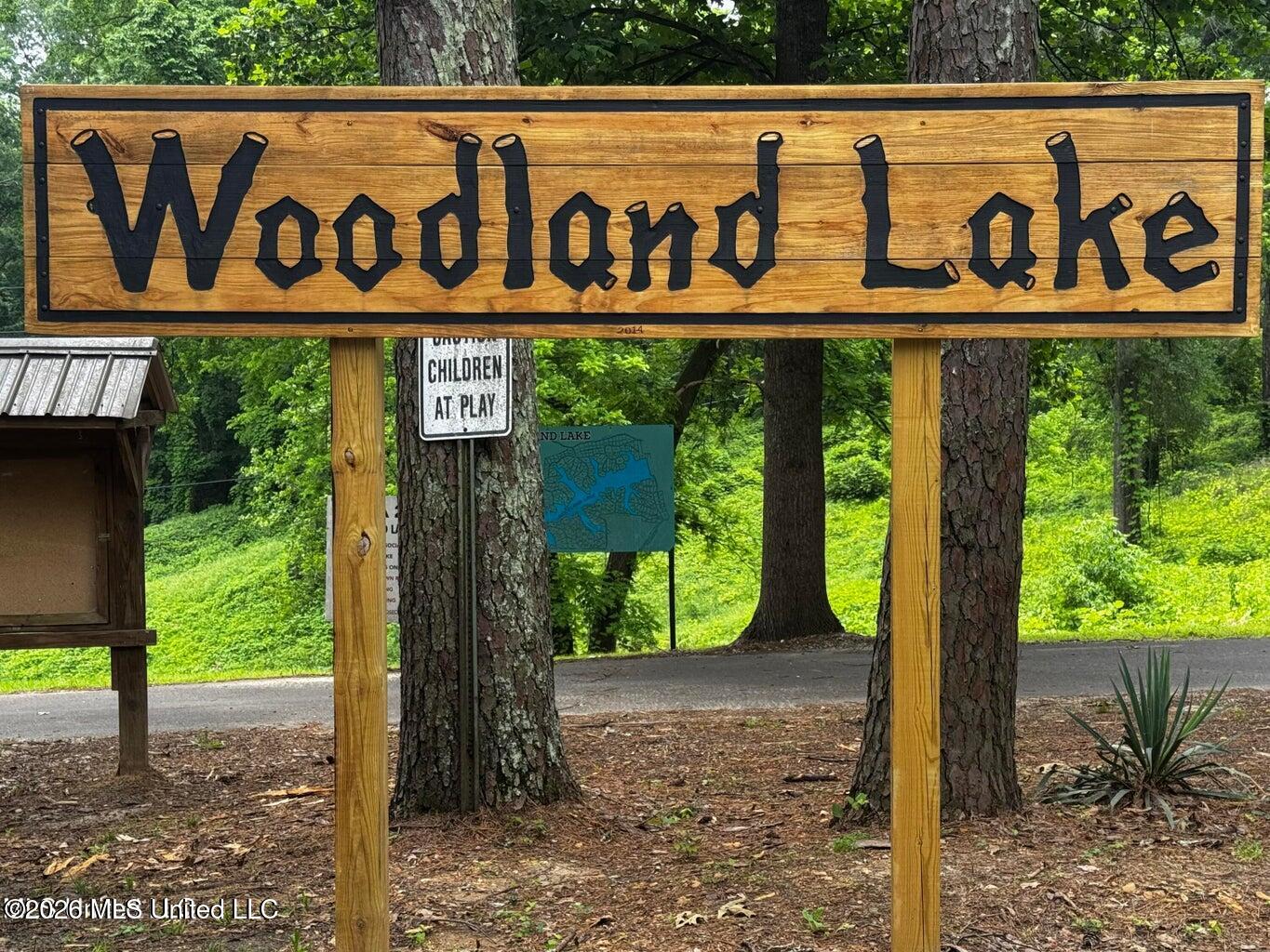 Lot 119 Dogwood Cove Property Photo 24