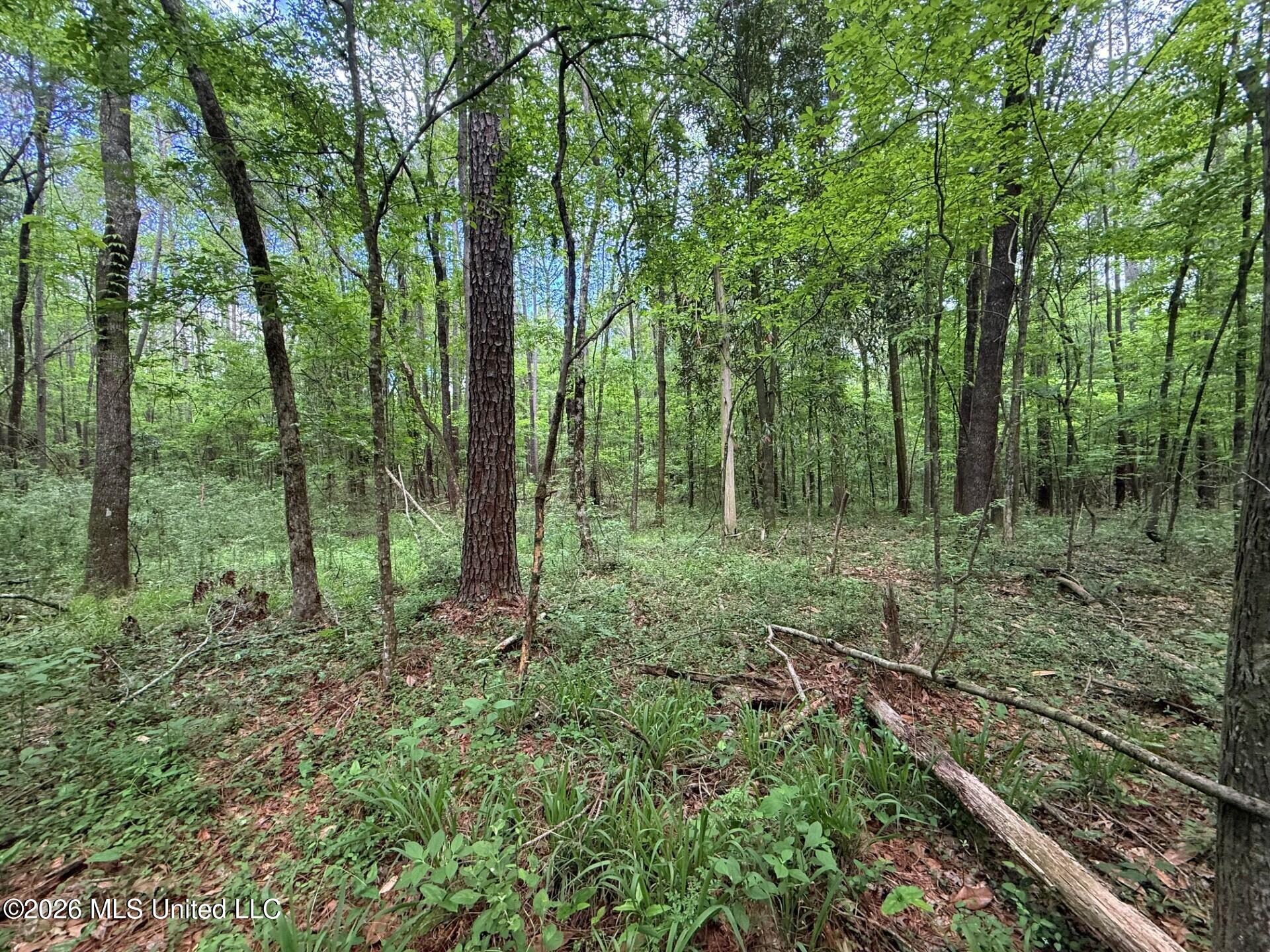 2538 Us-98 Property Photo 2