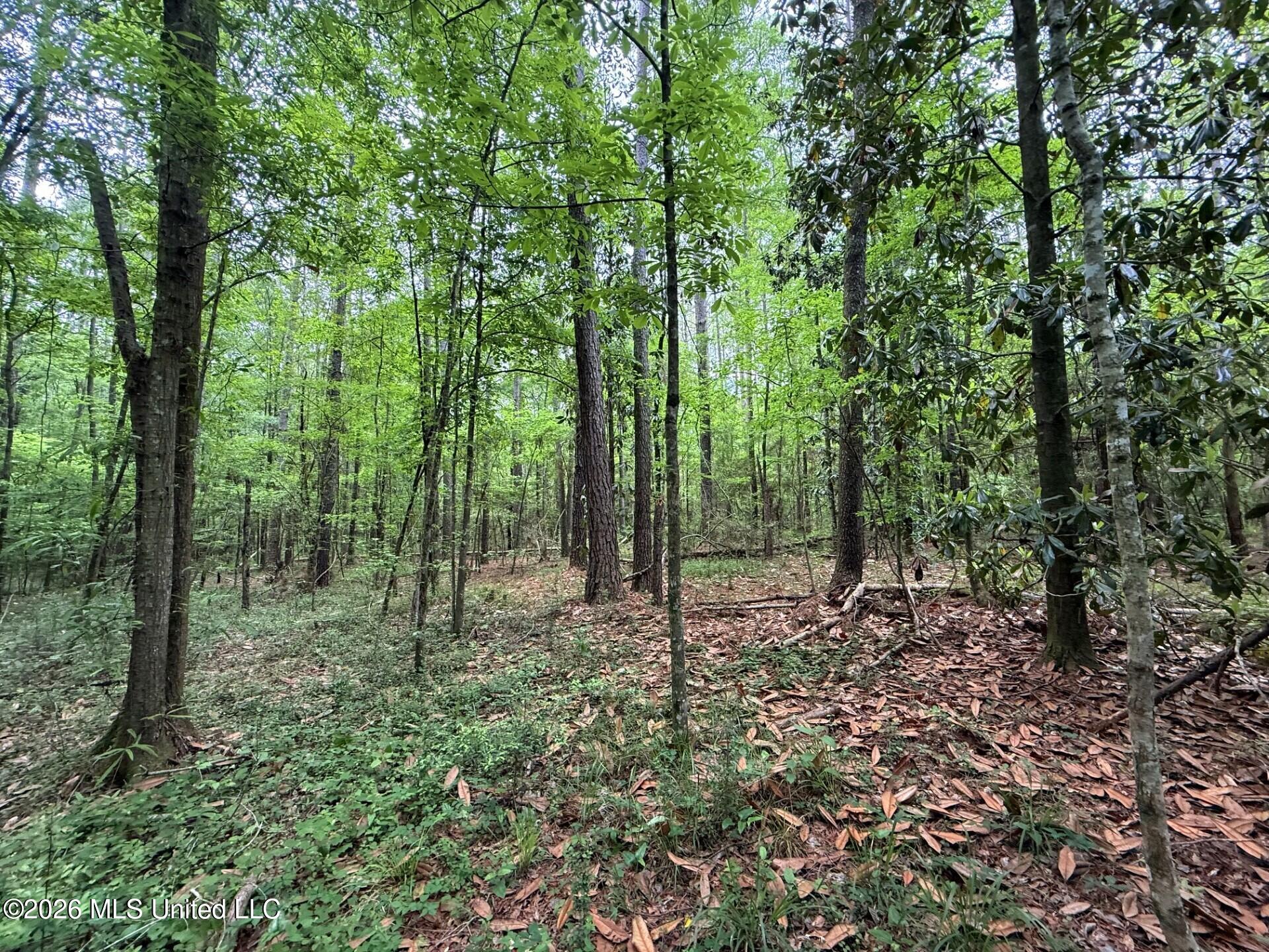 2538 Us-98 Property Photo 4