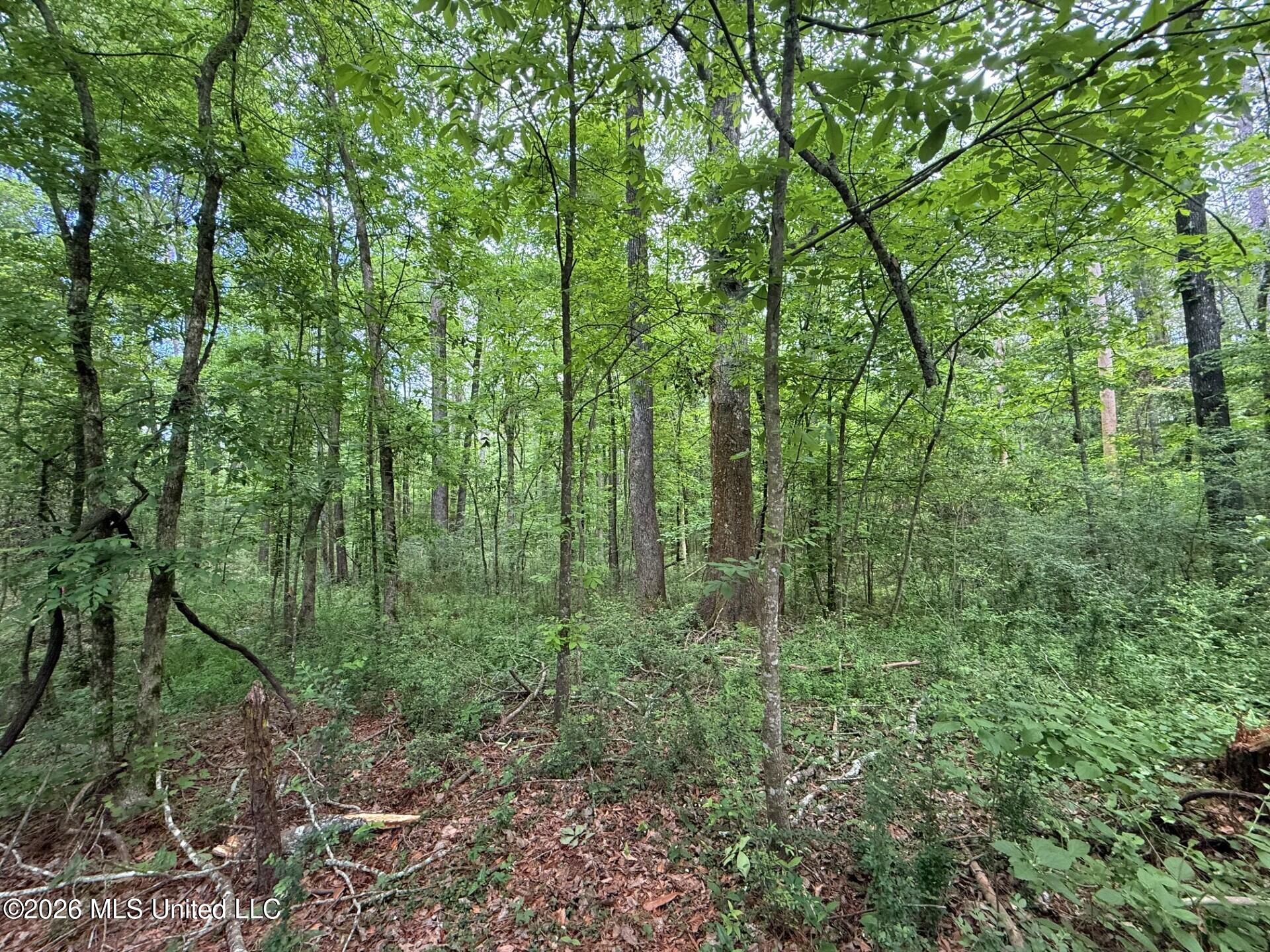 2538 Us-98 Property Photo 5