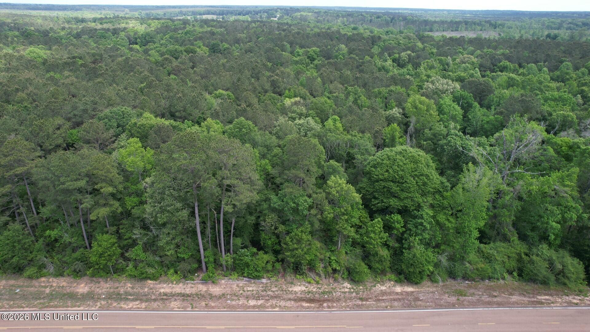 2538 Us-98 Property Photo 6