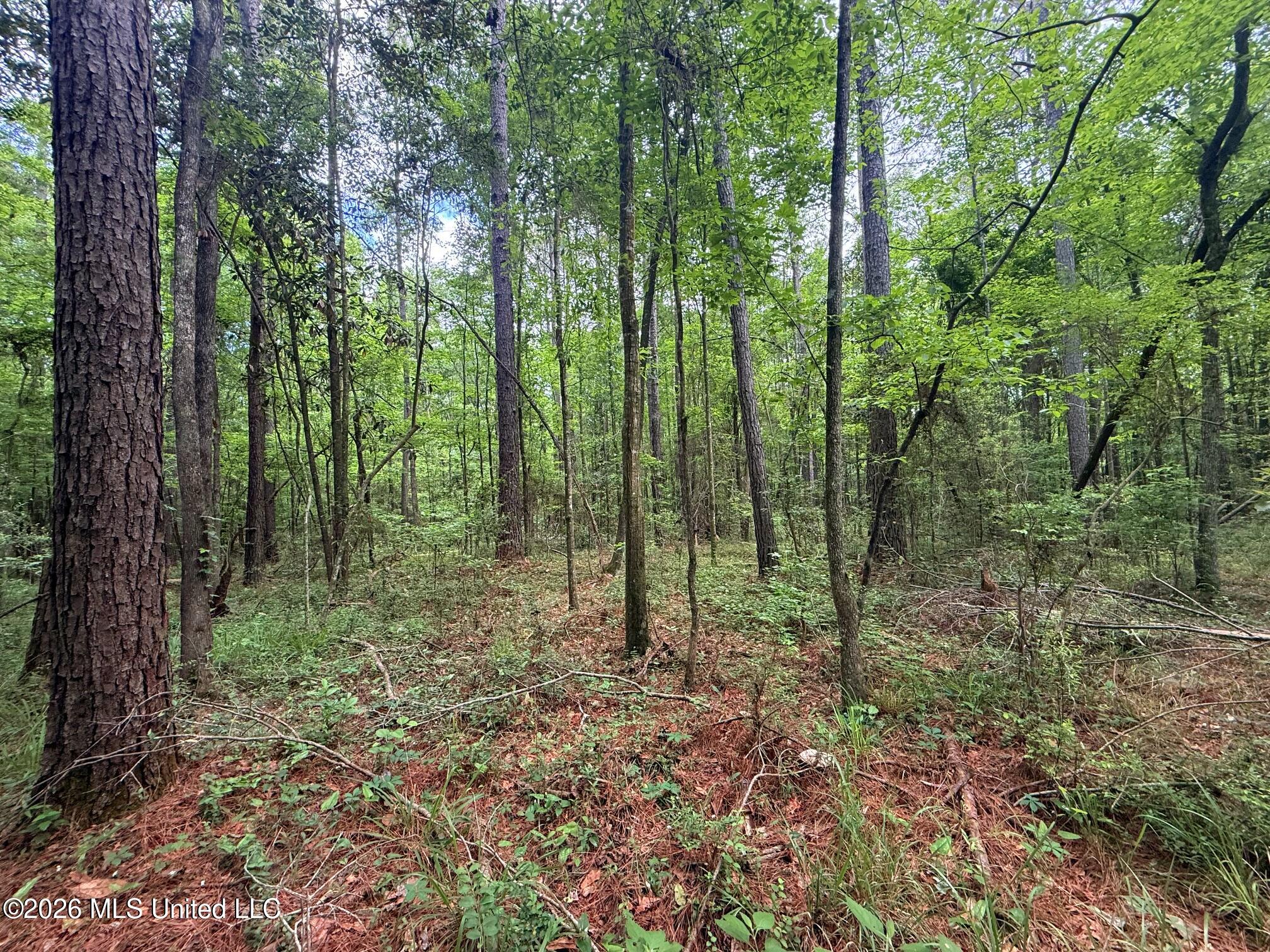 2536 Us-98 Property Photo 6