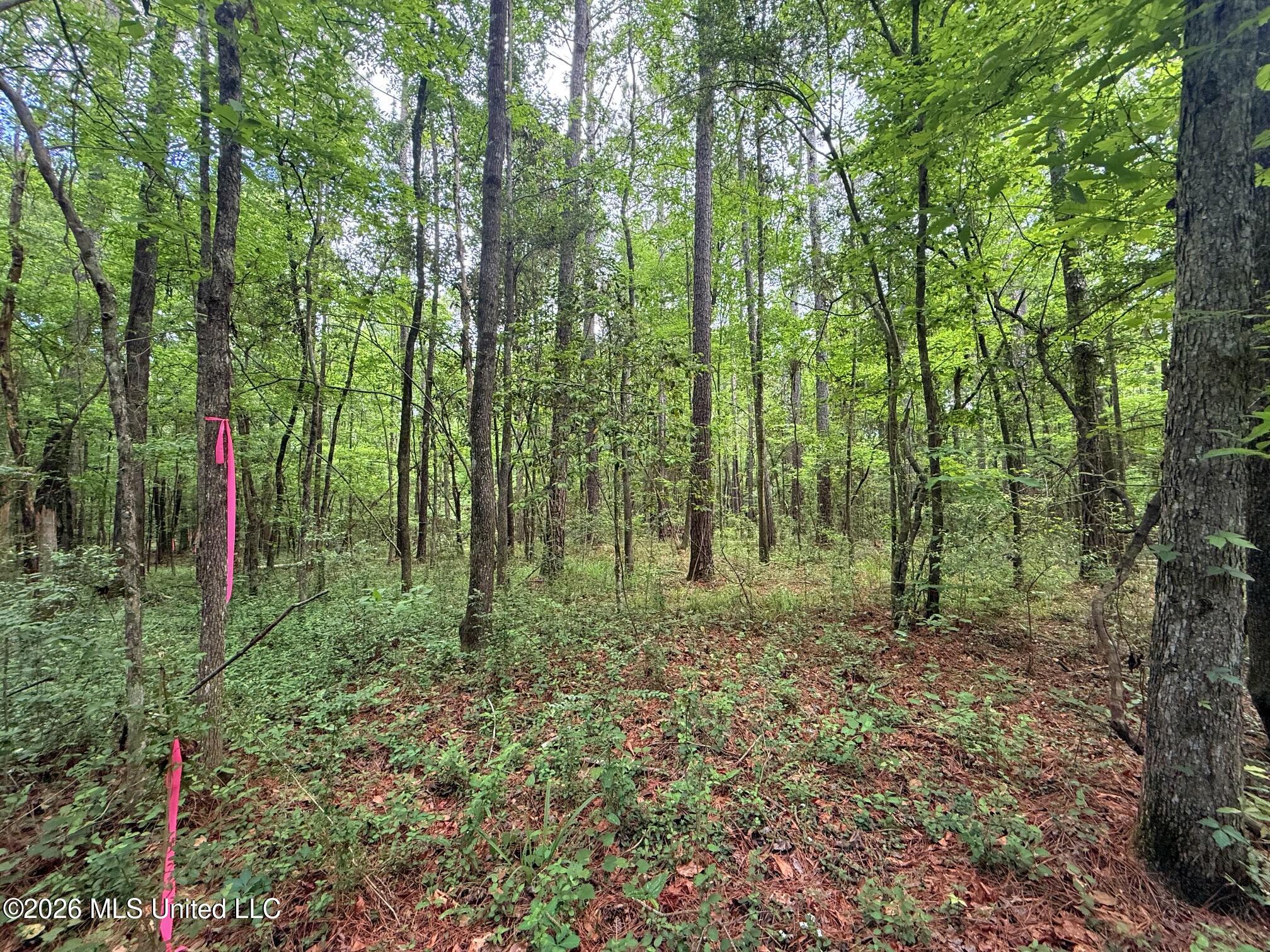 2536 Us-98 Property Photo 7