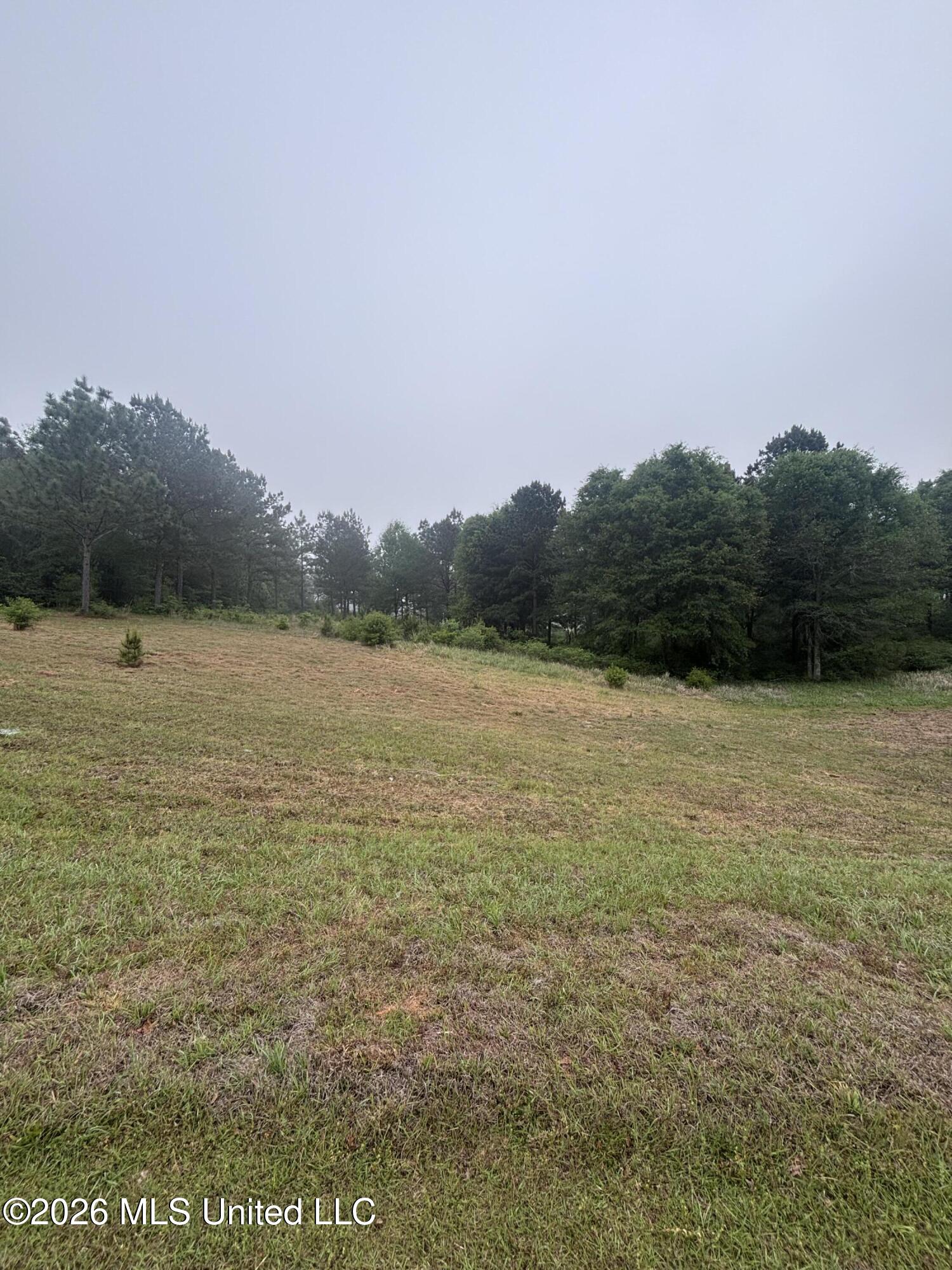 00 W Circle Road Property Photo 3