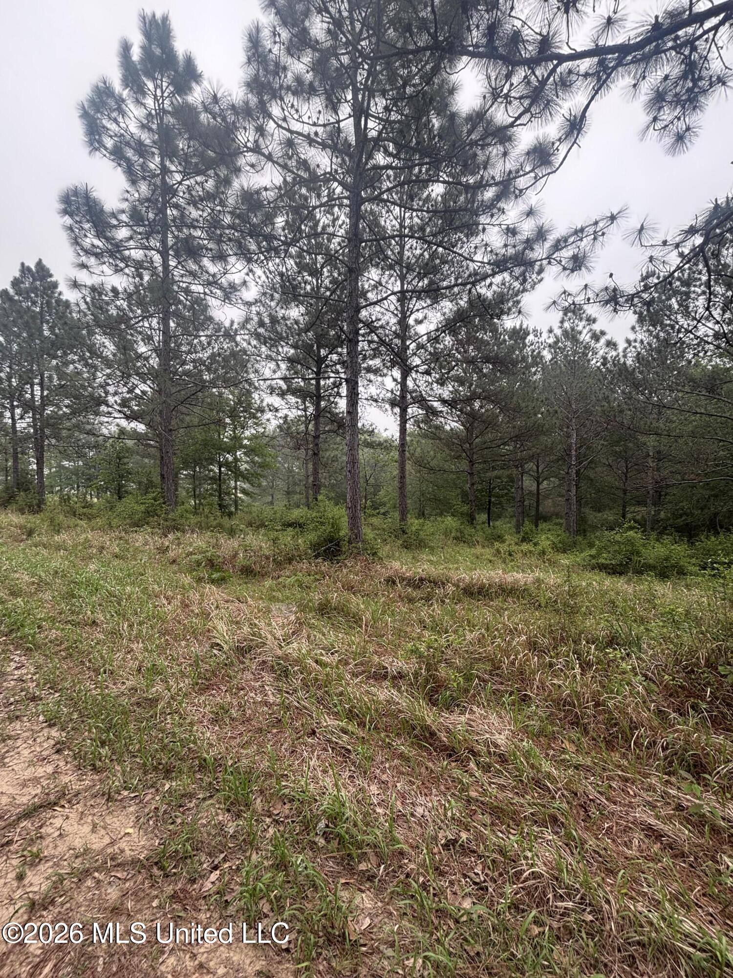 00 W Circle Road Property Photo 10