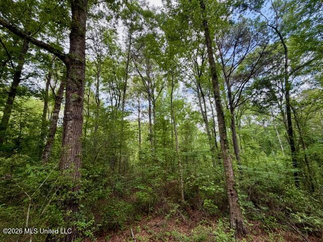 Conerly Drive Property Photo 1