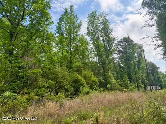 Conerly Drive Property Photo 2