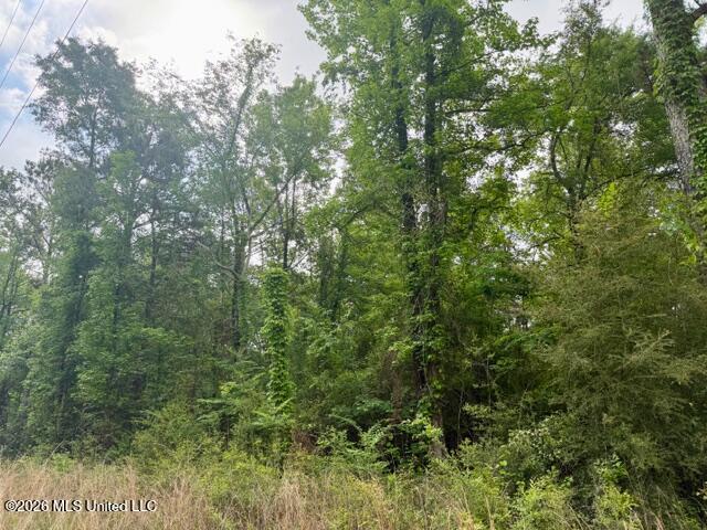 Conerly Drive Property Photo 3