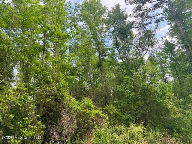 Conerly Drive Property Photo 4