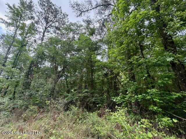Conerly Drive Property Photo 5