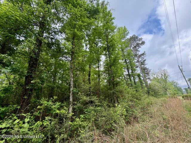 Conerly Drive Property Photo 6