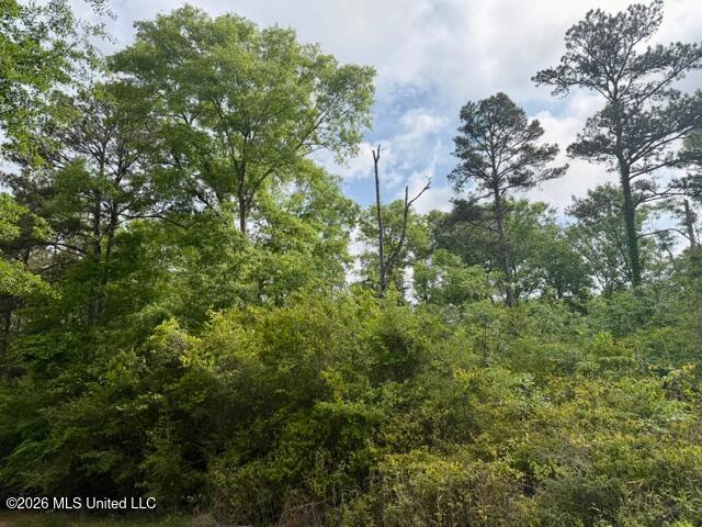 Conerly Drive Property Photo 7