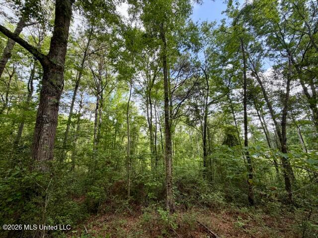 Conerly Drive Property Photo 8