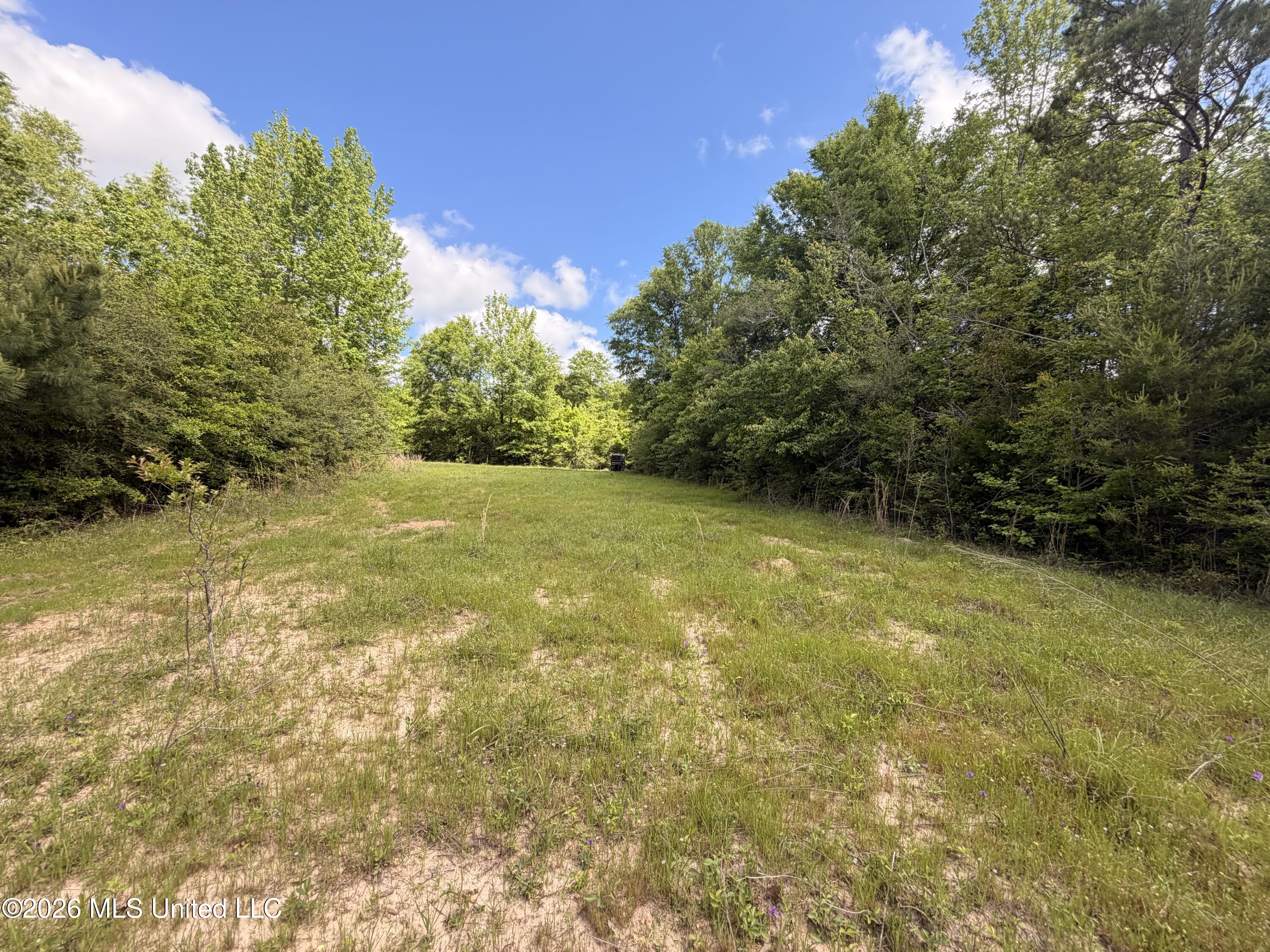 93 Hammond Road Property Photo 2