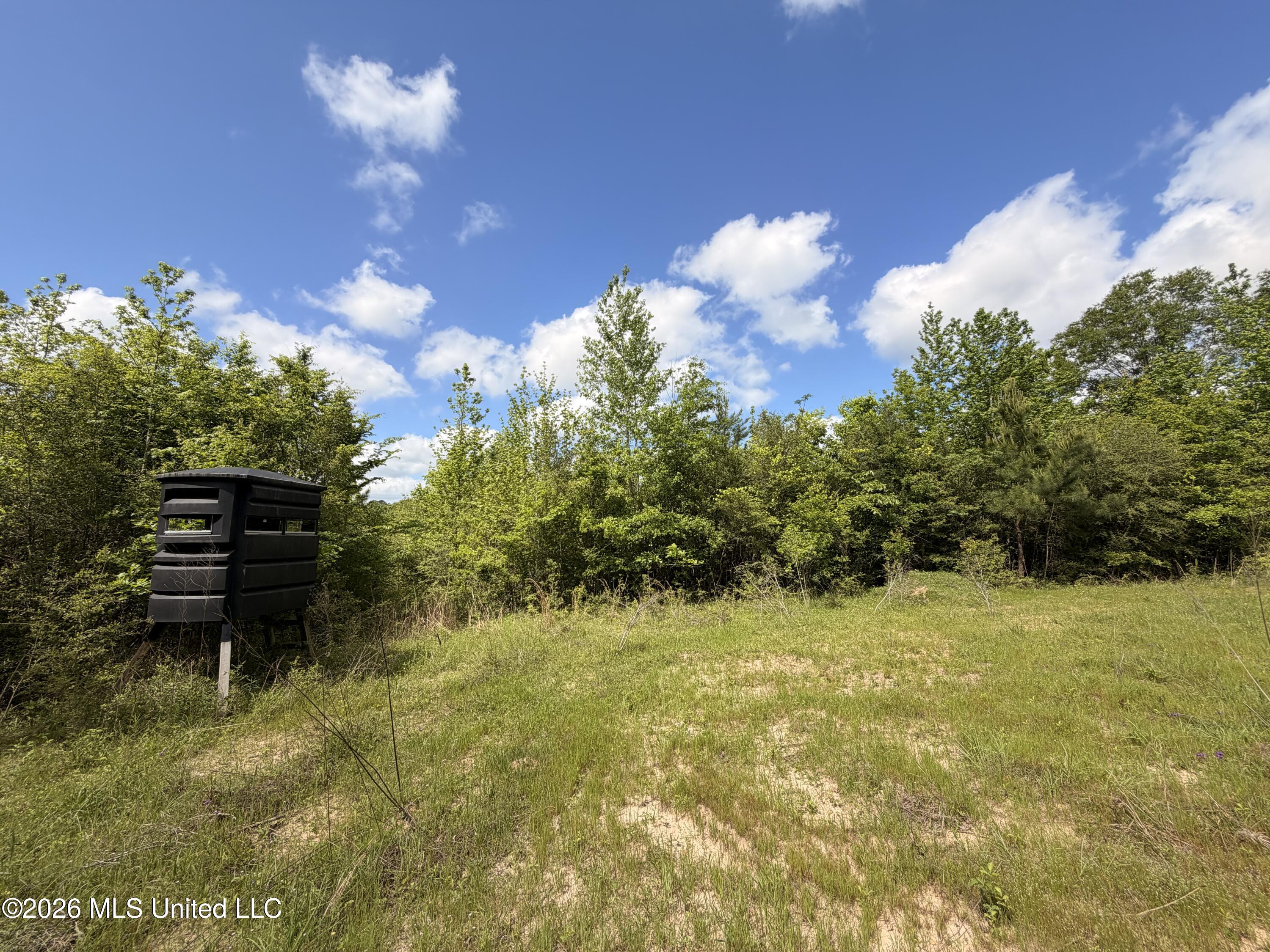 93 Hammond Road Property Photo 4