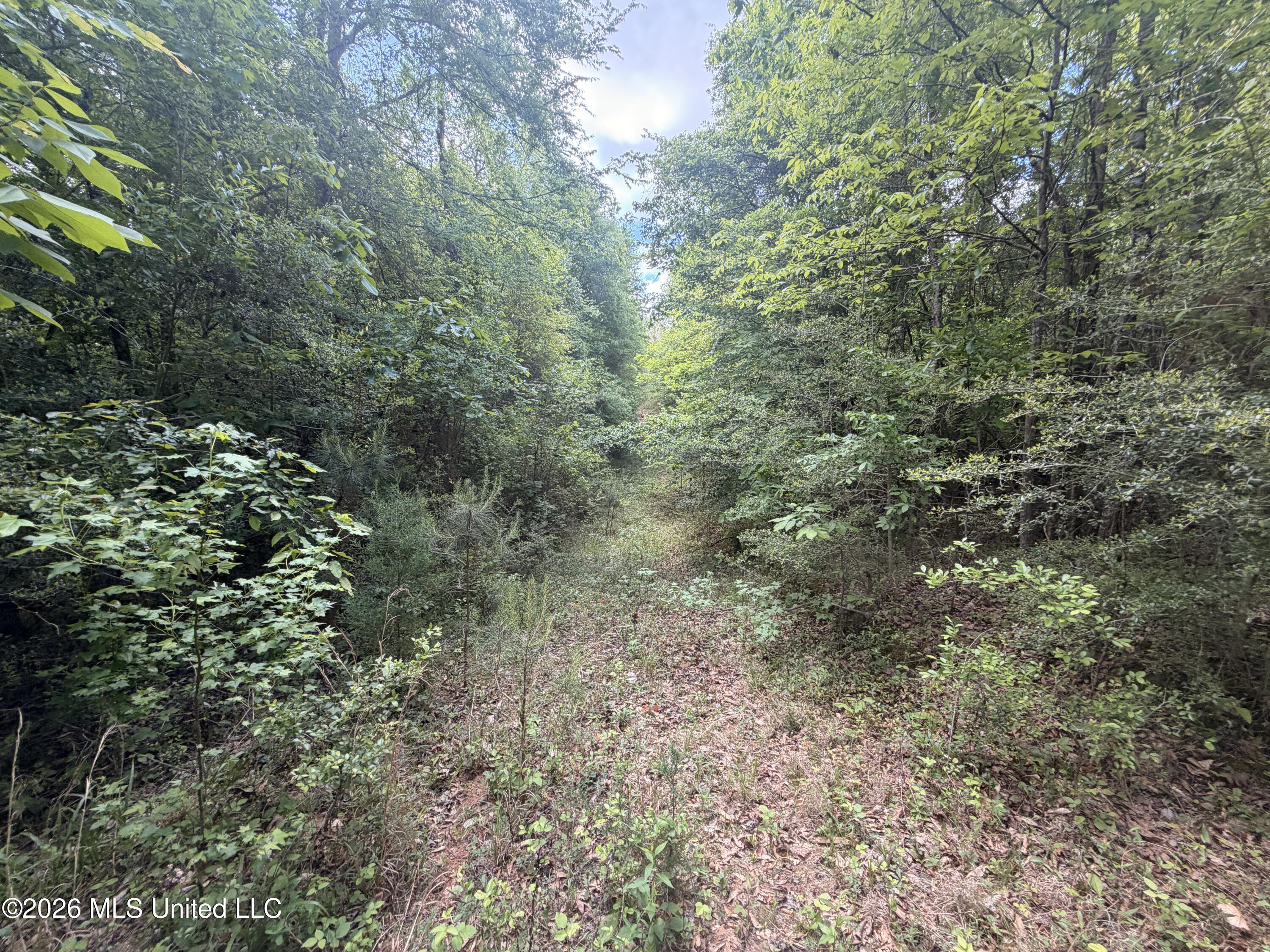 93 Hammond Road Property Photo 11