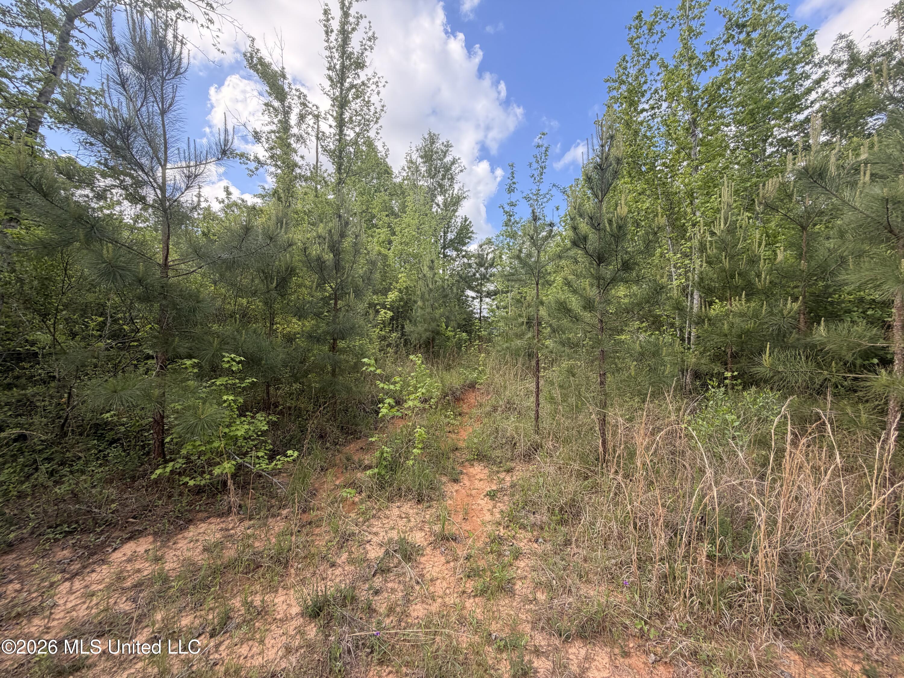 93 Hammond Road Property Photo 12