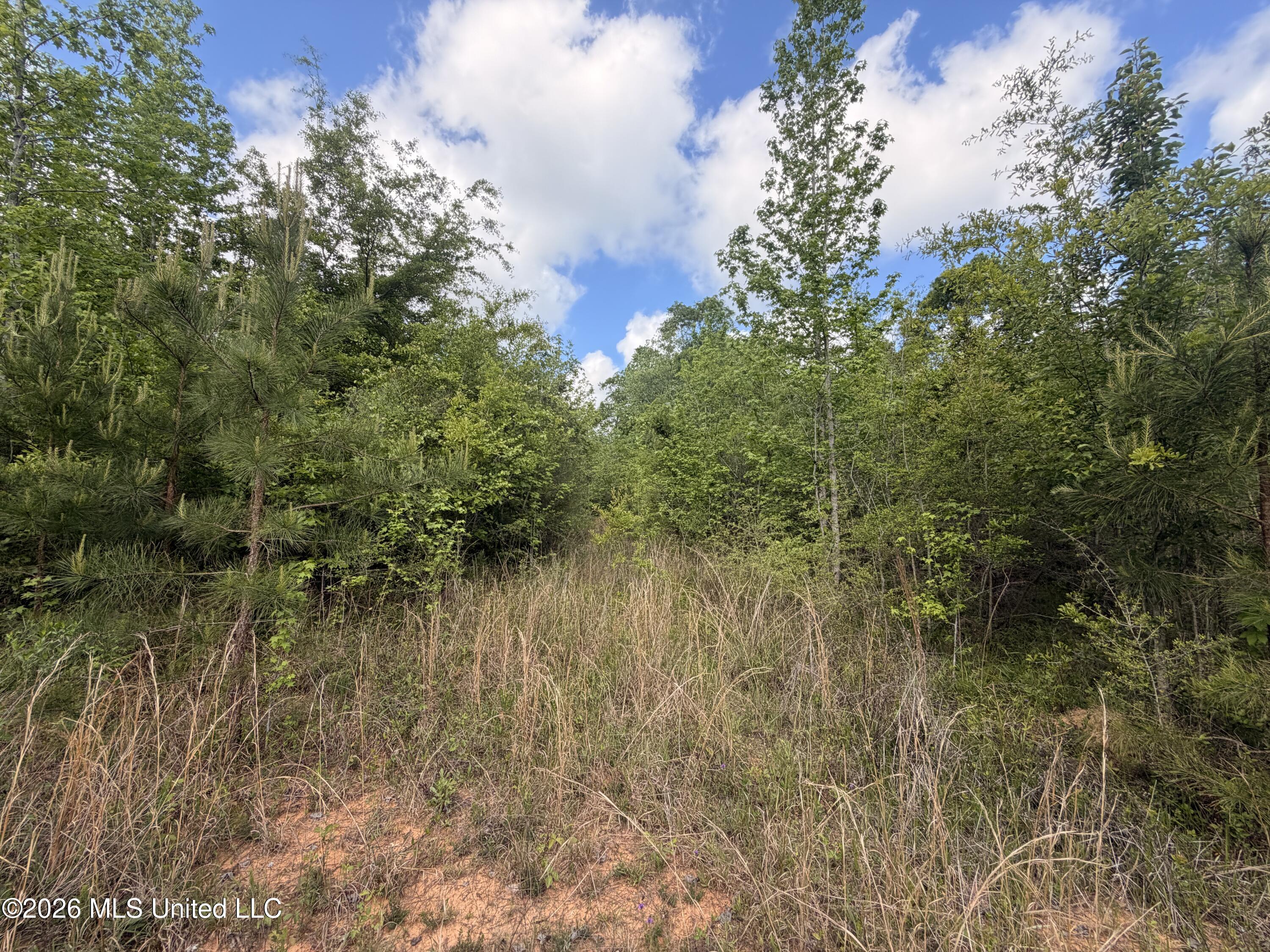 93 Hammond Road Property Photo 13