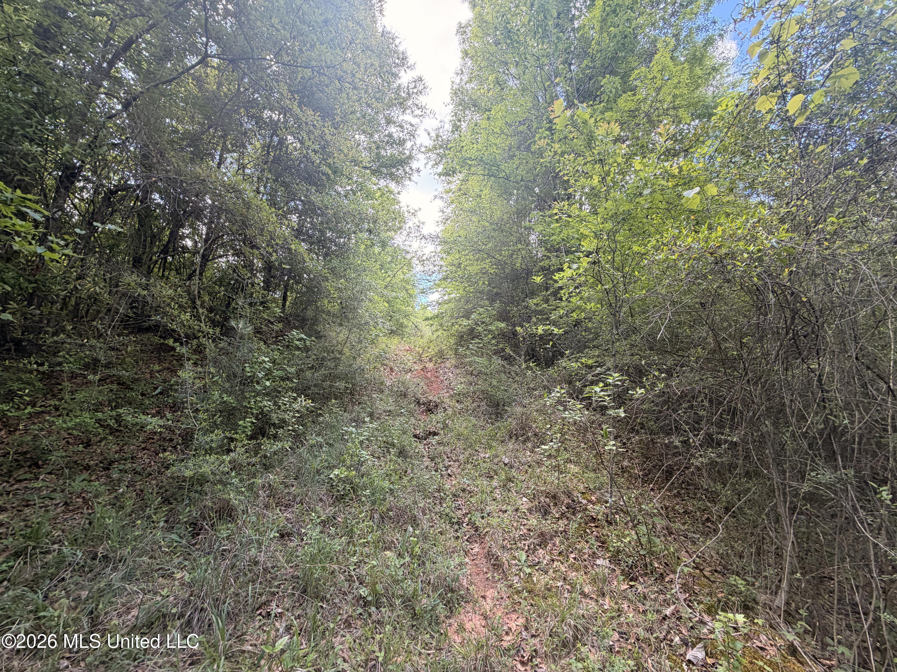 93 Hammond Road Property Photo 14