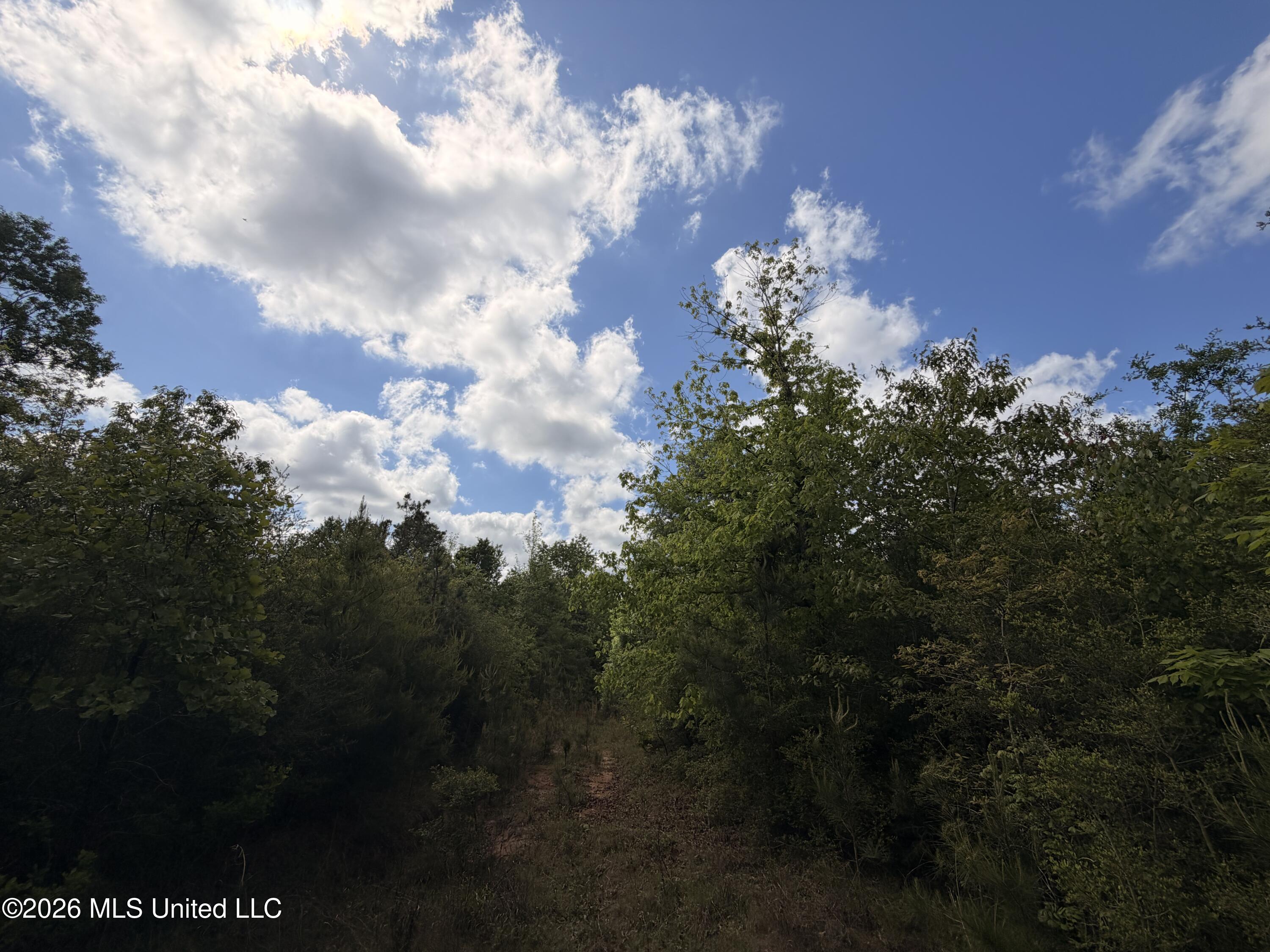 93 Hammond Road Property Photo 15