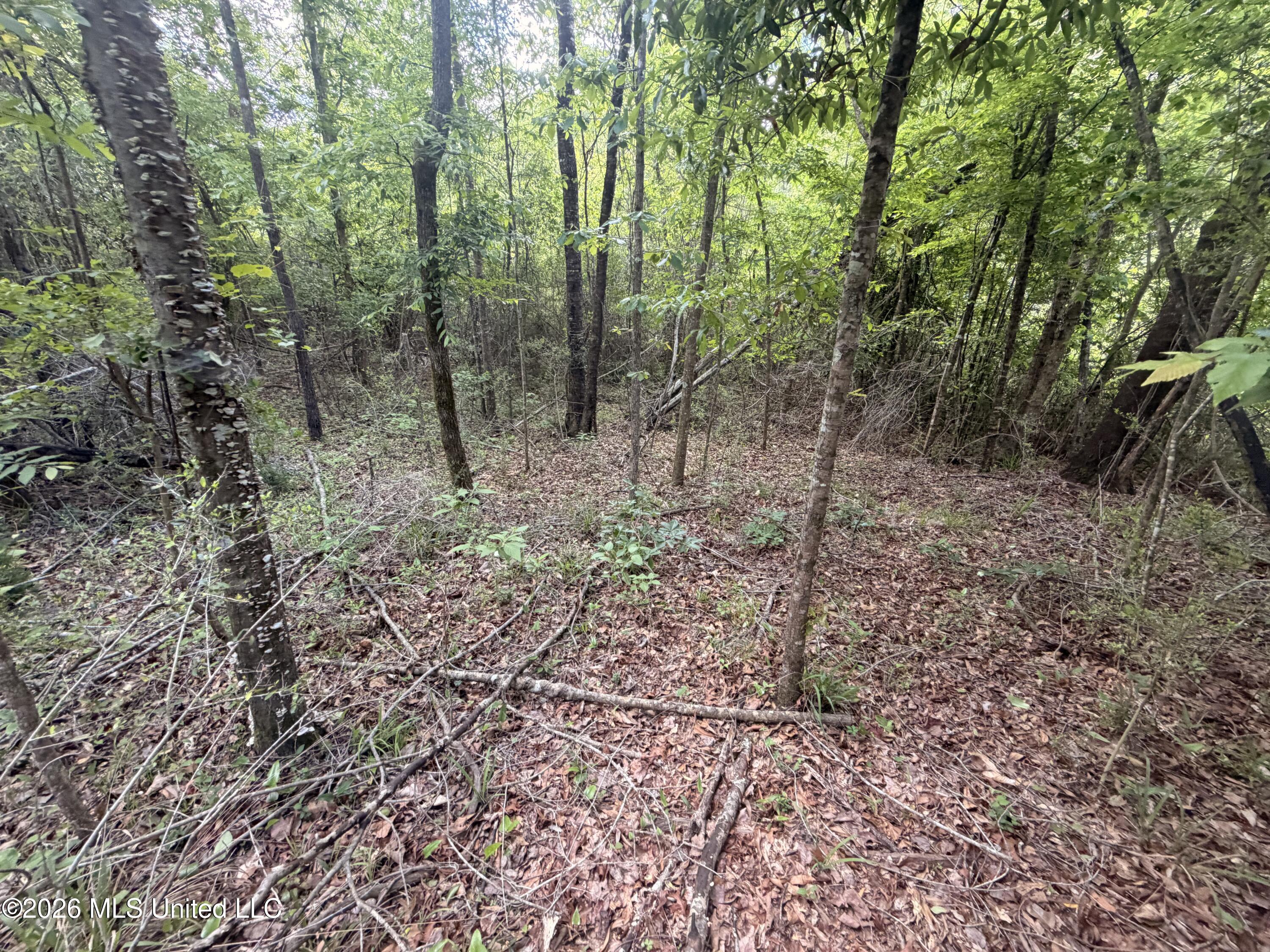 93 Hammond Road Property Photo 16