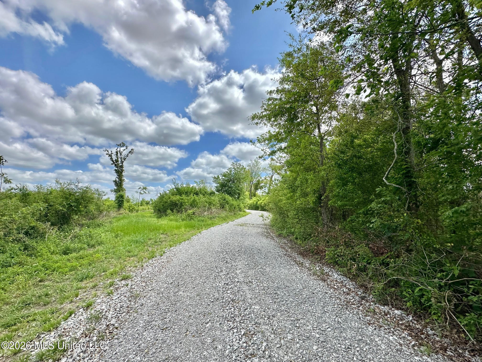 536 Omega Road Property Photo 4