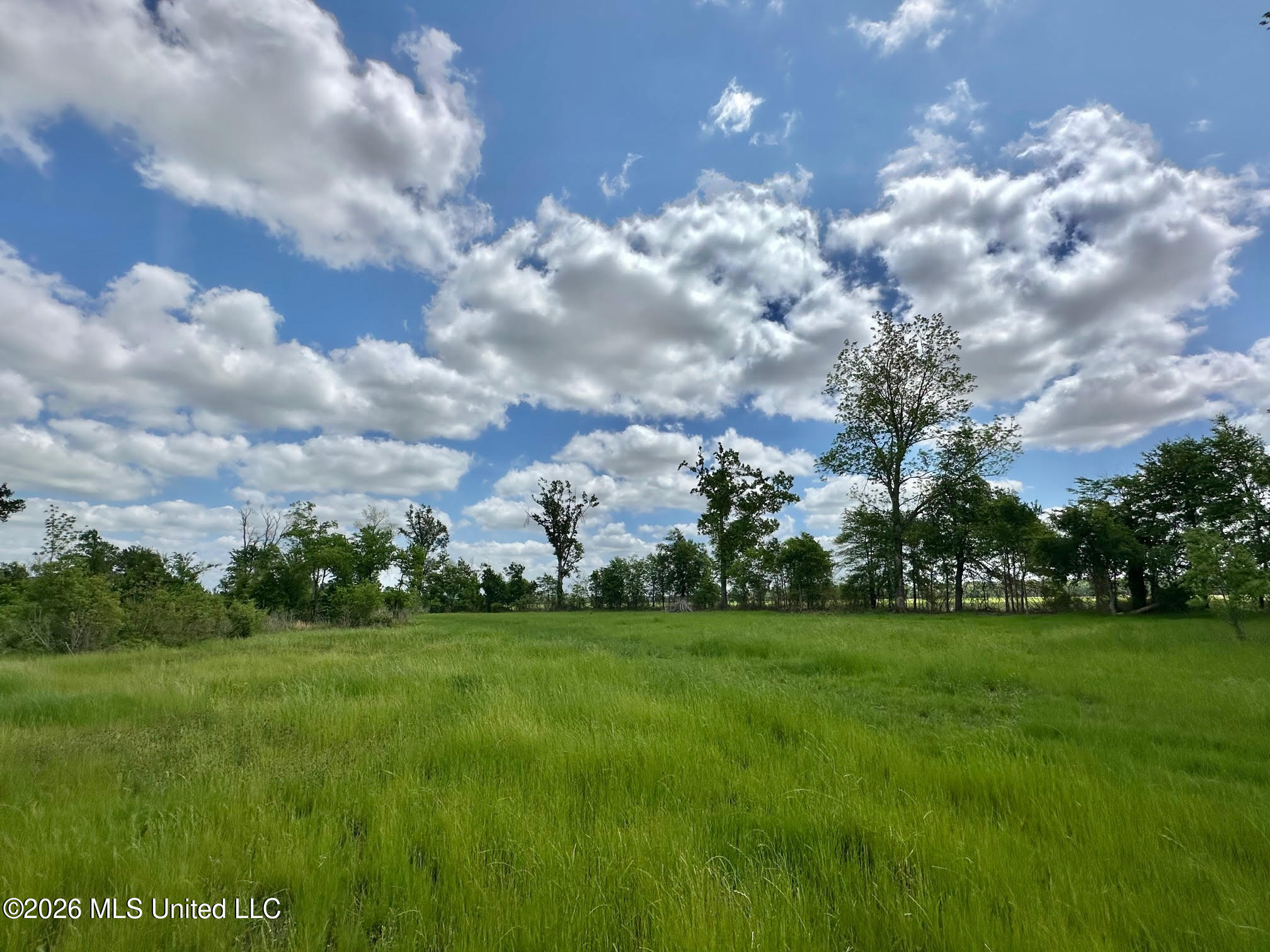 536 Omega Road Property Photo 8