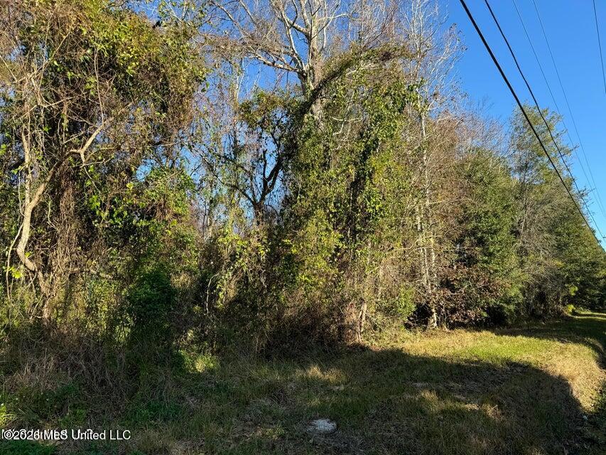Seacliff Boulevard Property Photo 1